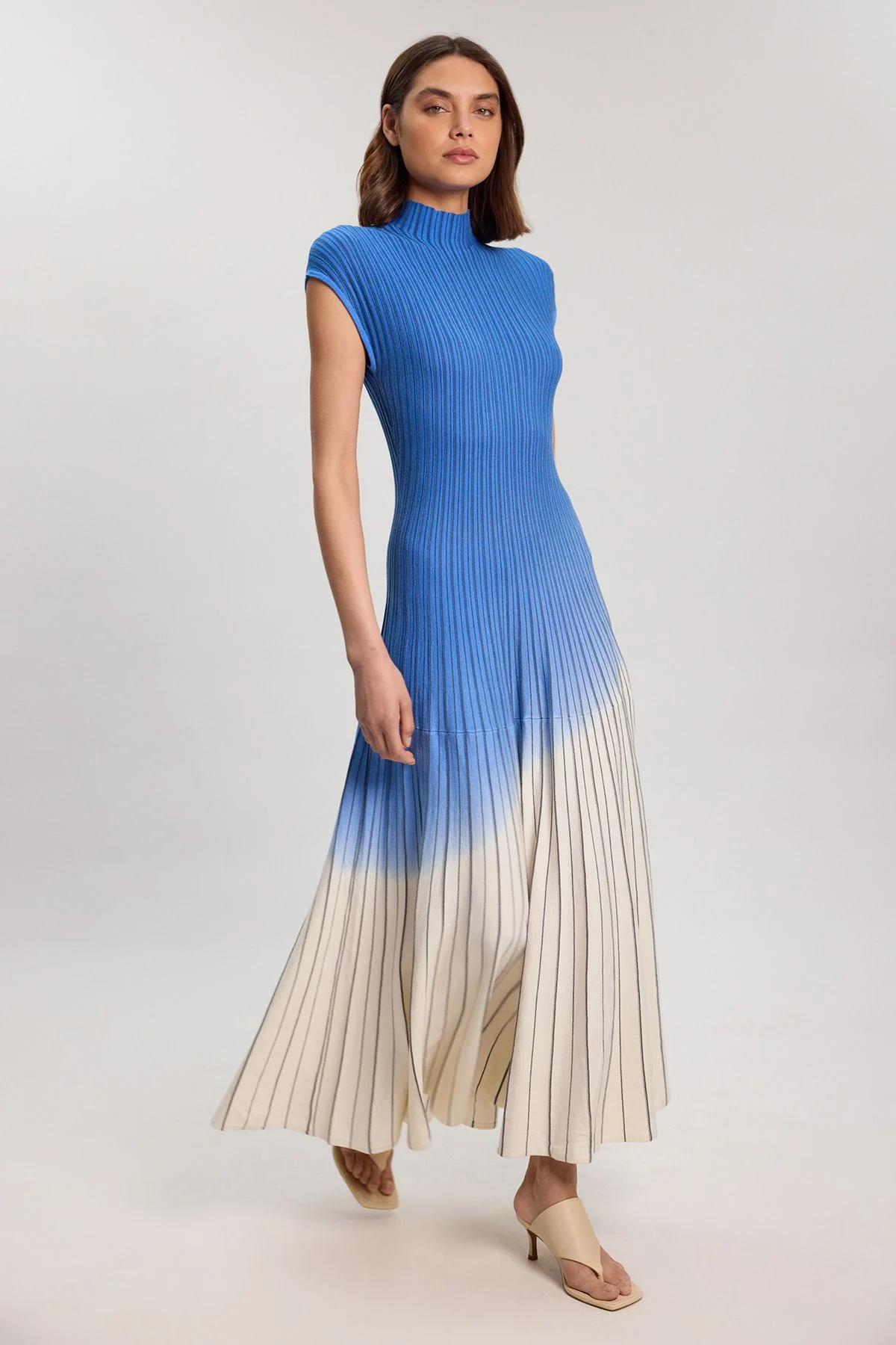 Petite Ombre Knit High Neck Sleeveless Maxi Dress - 1