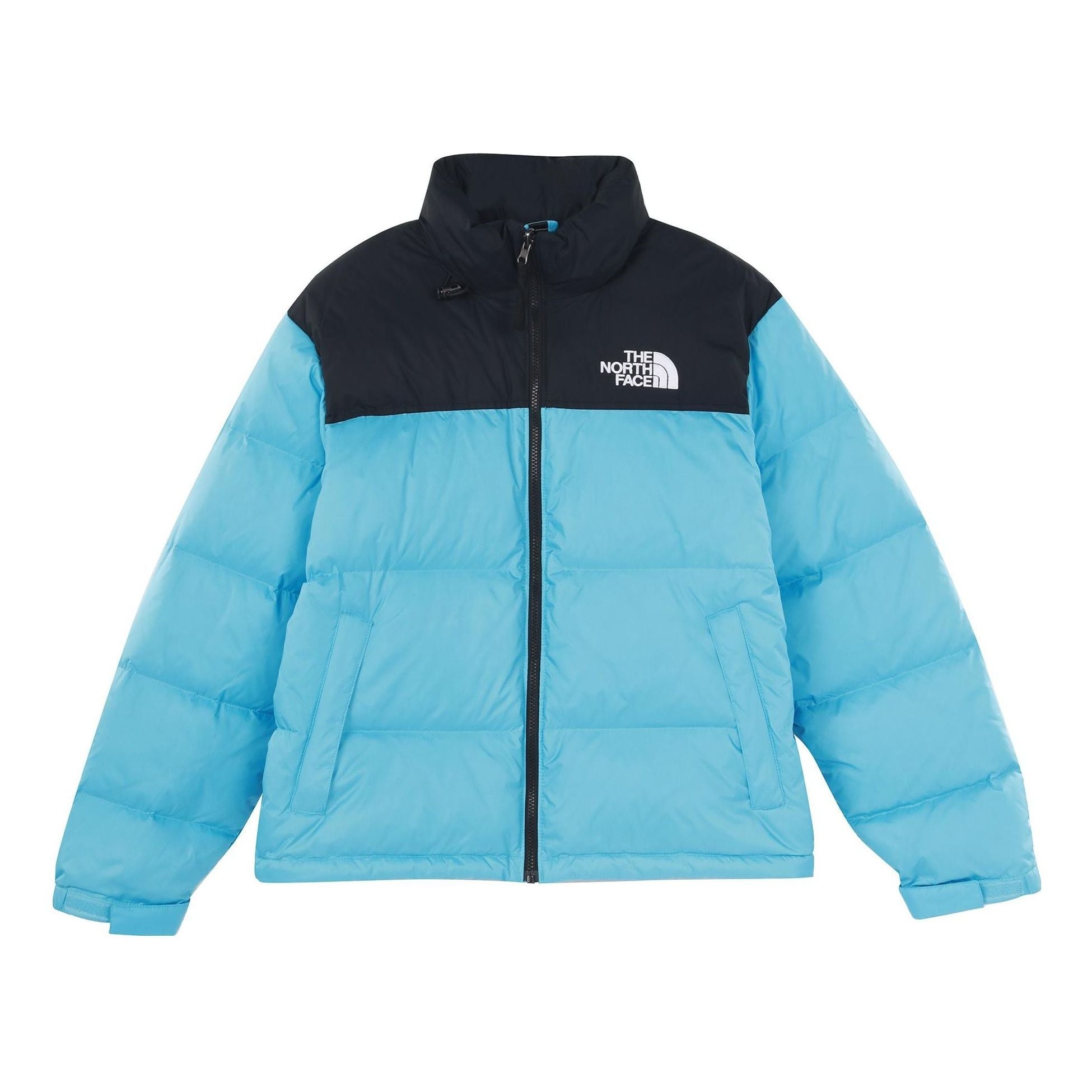 THE NORTH FACE 1996 Retro Nuptse 700 NF0A3C8D-3X5 - 1