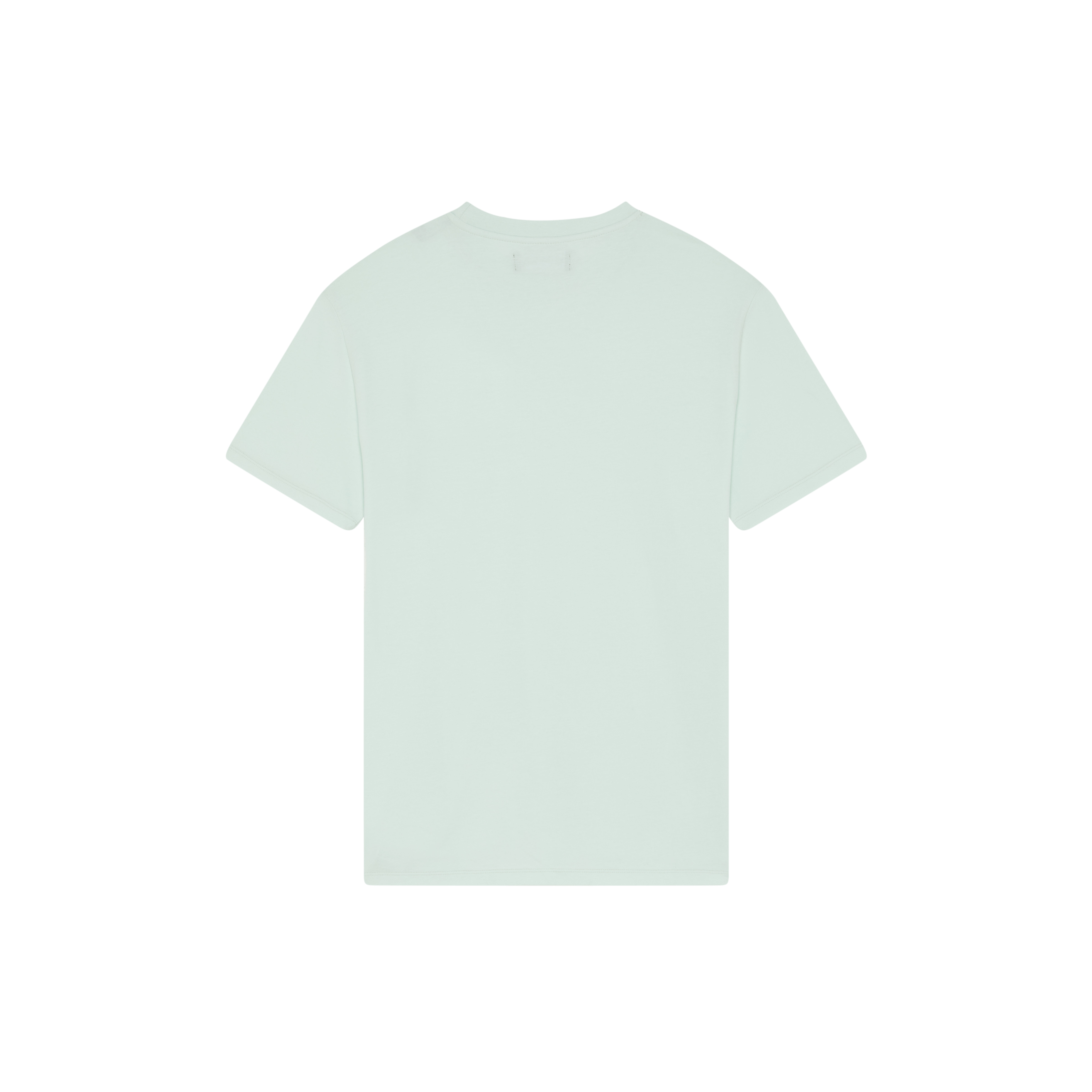 Men Organic Cotton T-shirt Embroidered Turtle - 2
