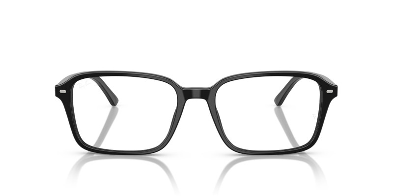 RAIMOND OPTICS 4