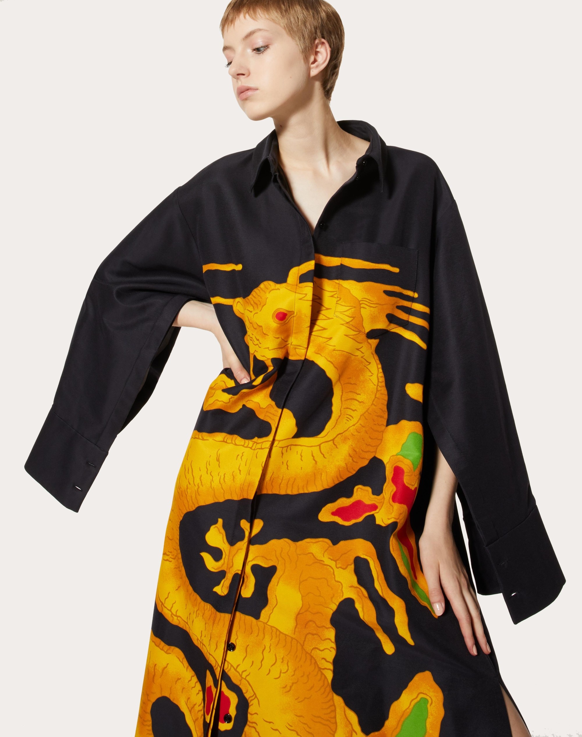 FAILLE EVENING DRESS WITH DRAGO RE-EDITION PRINT - 5