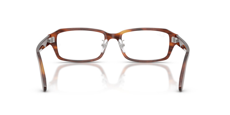 RB5458D OPTICS 6