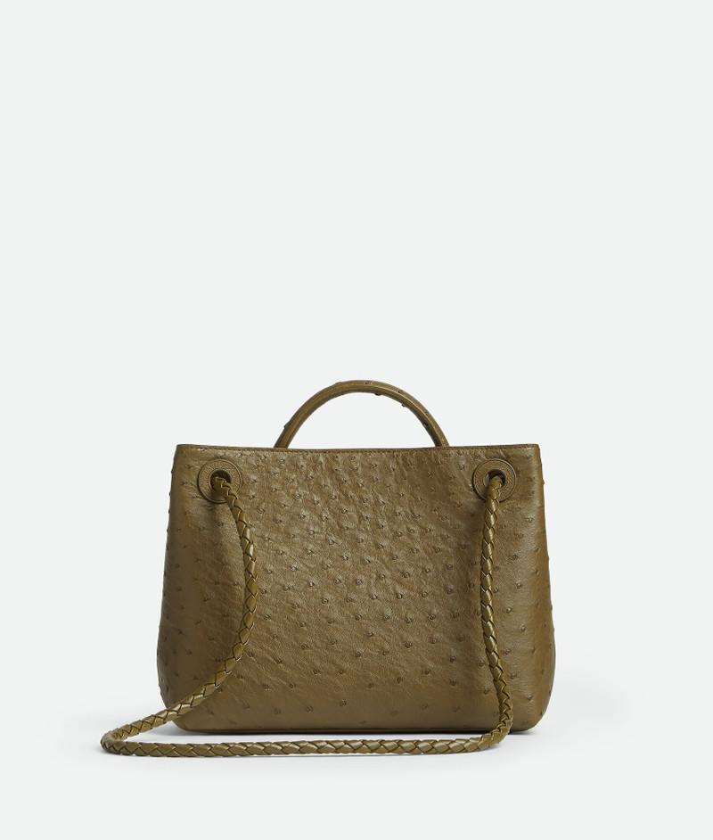 Bottega Veneta Small Andiamo outlook