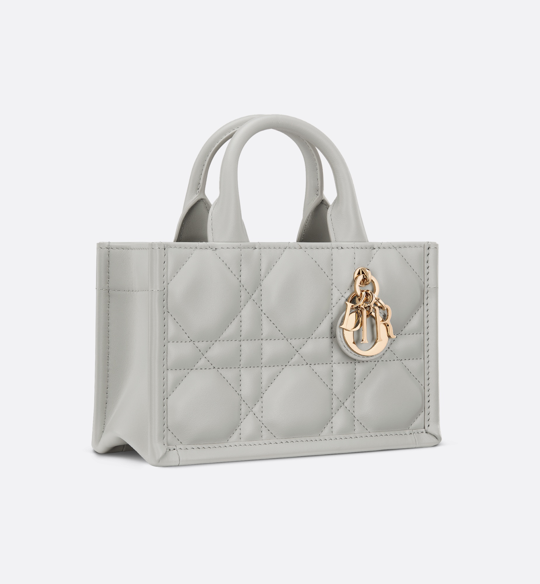 Mini Dior Book Tote - 2