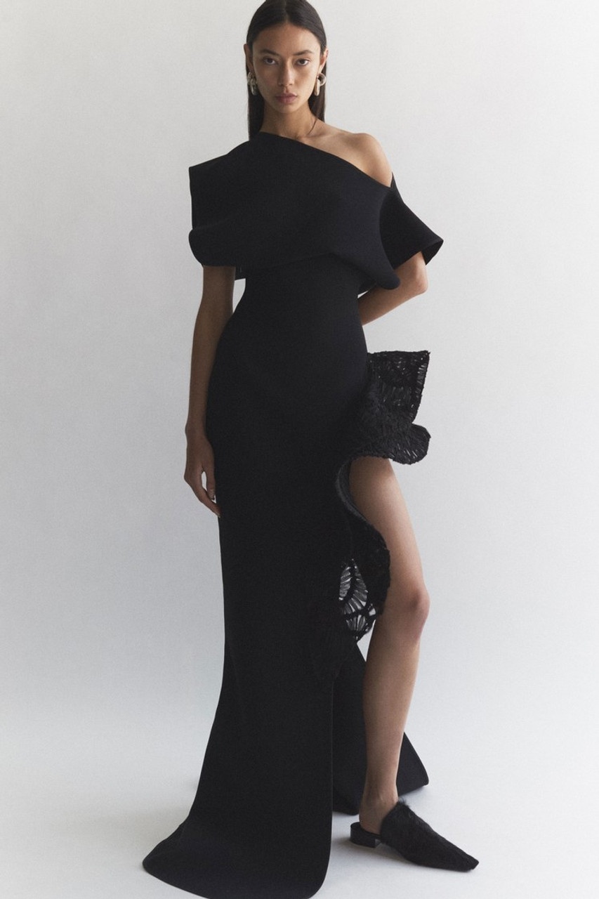 Wishing Gown - 1