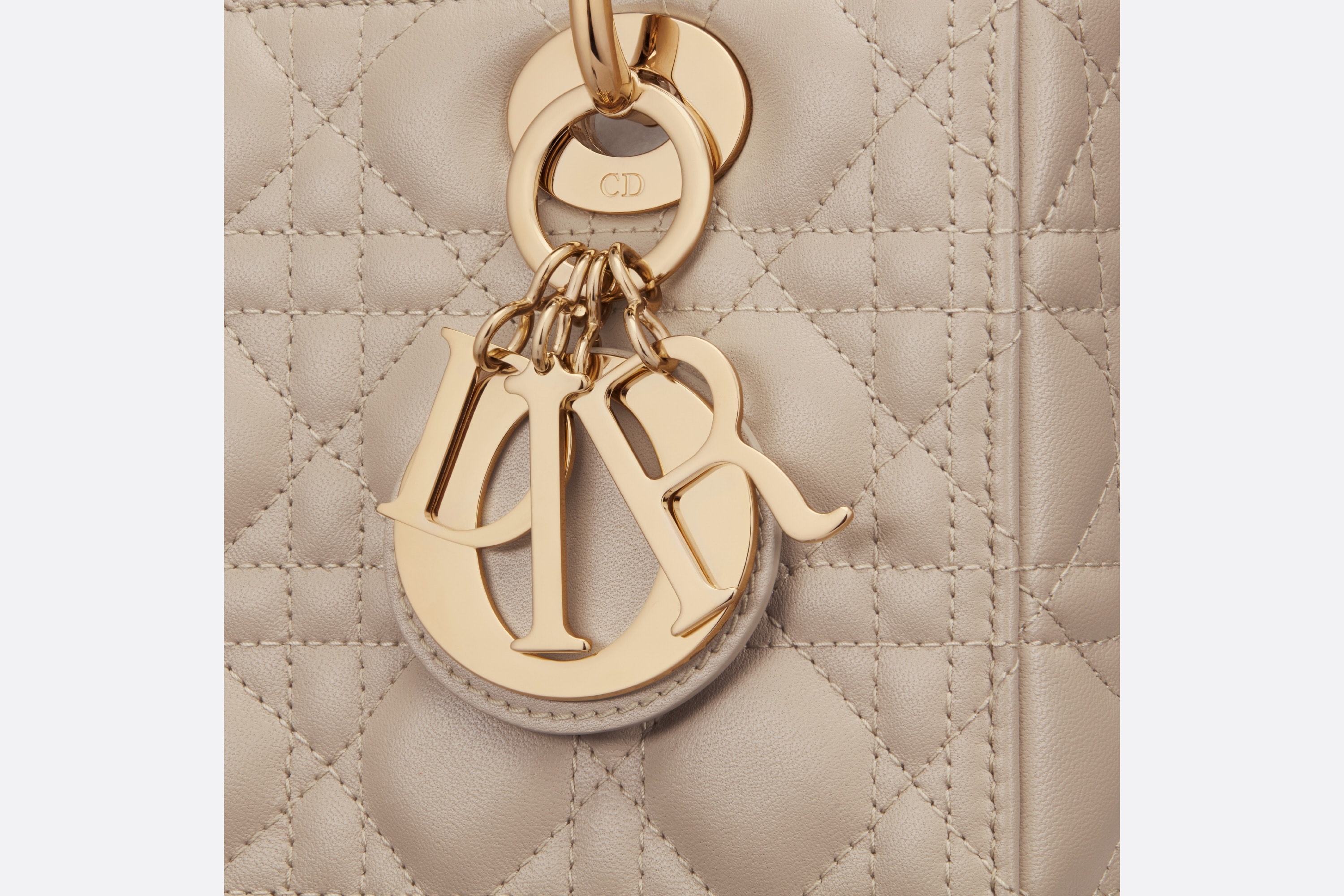 Medium Lady Dior Bag - 6