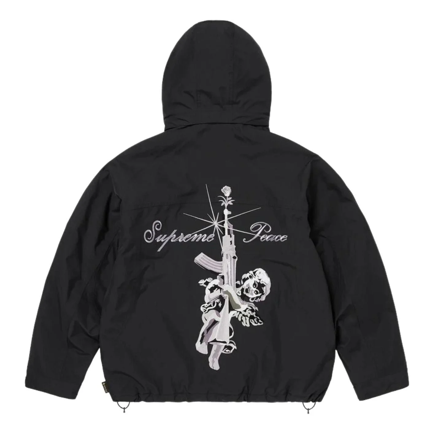 Supreme FW26 AOI GORE-TEX Hooded Jacket 'Black' SUP-FW26-011-BLK - 1