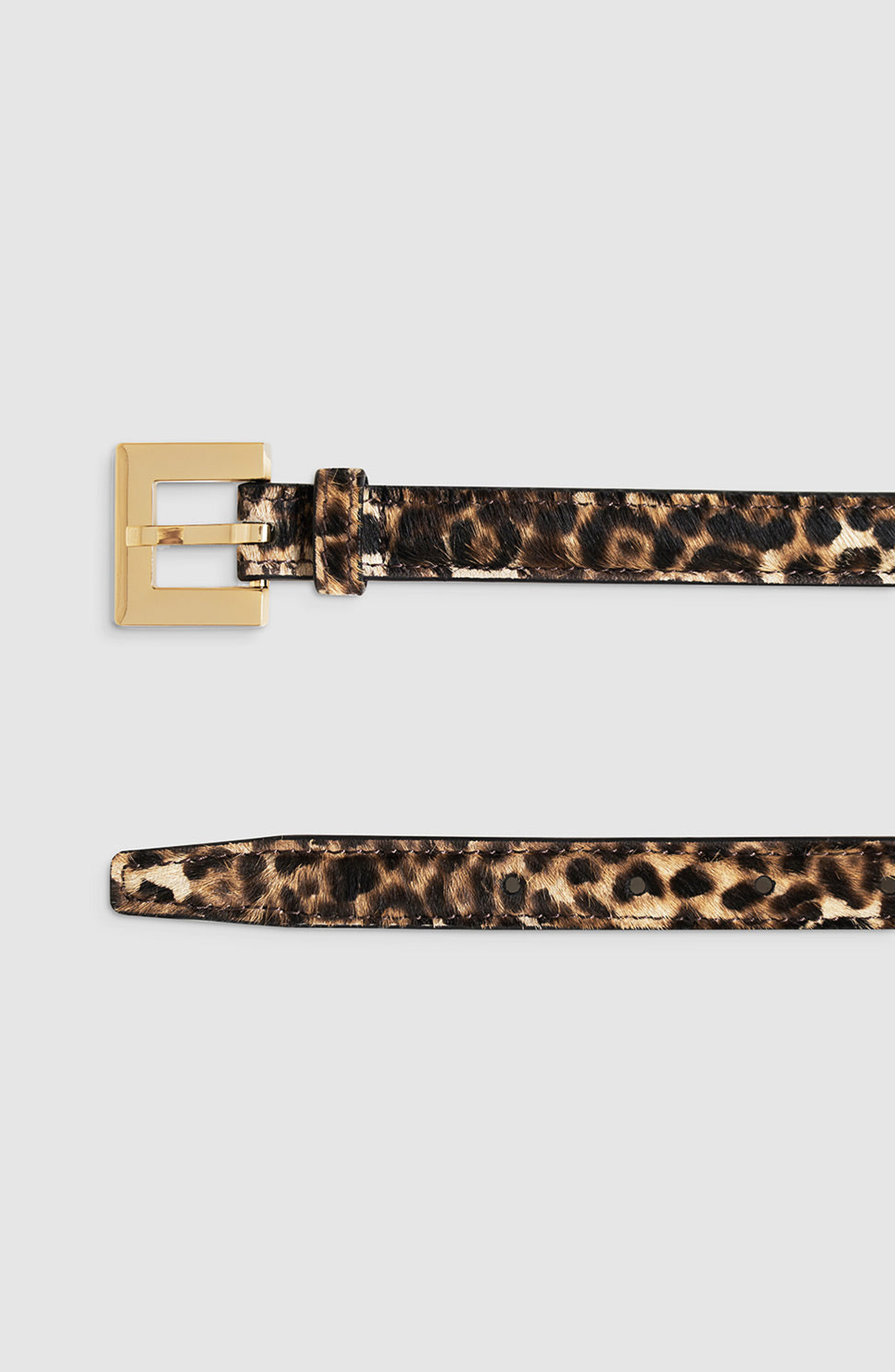 ANINE BING Nicola Belt in Leopard at Nordstrom - 4