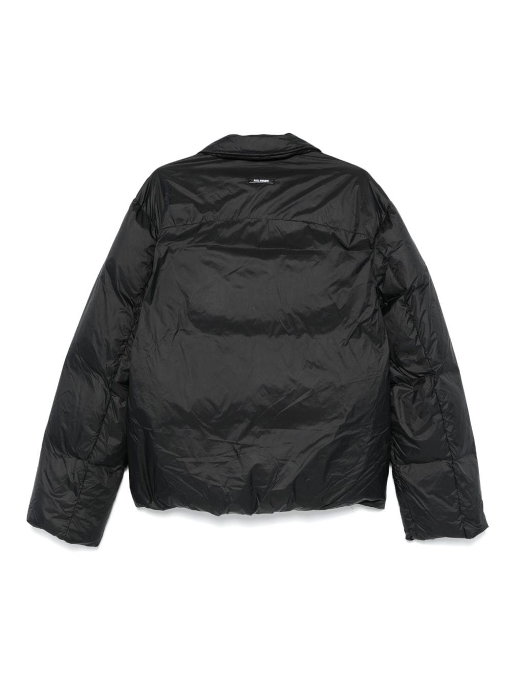 Boston Puff jacket - 2