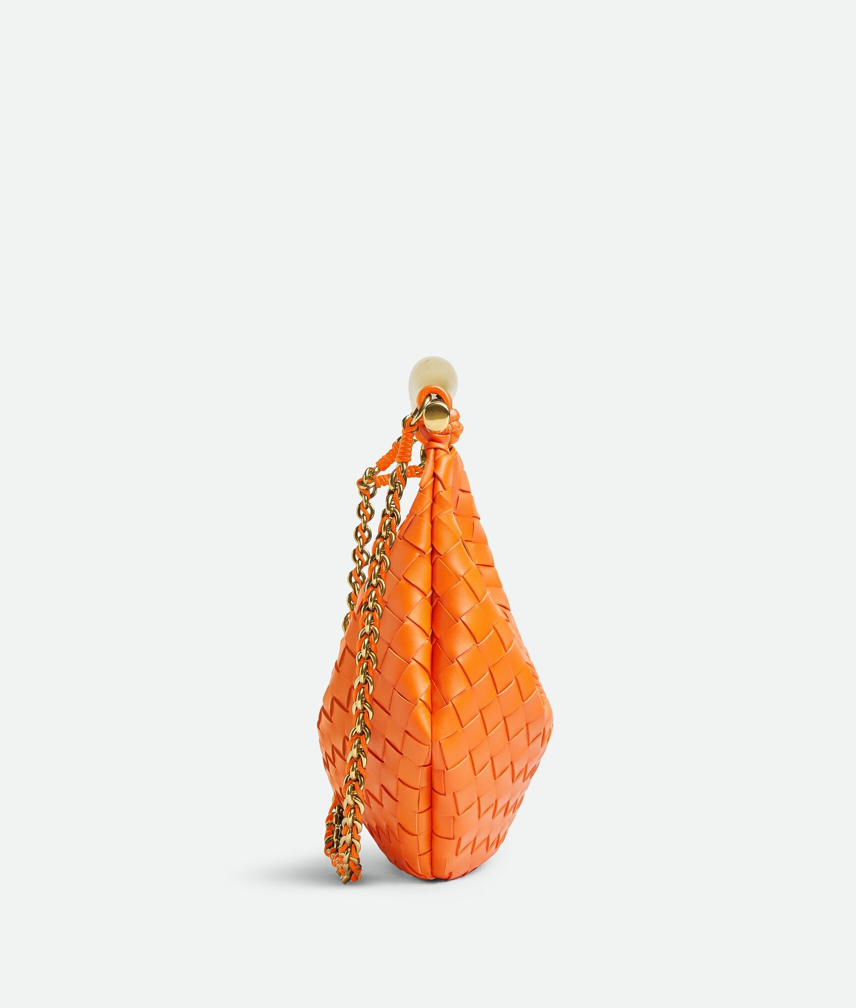 Sardine With Chain - 4