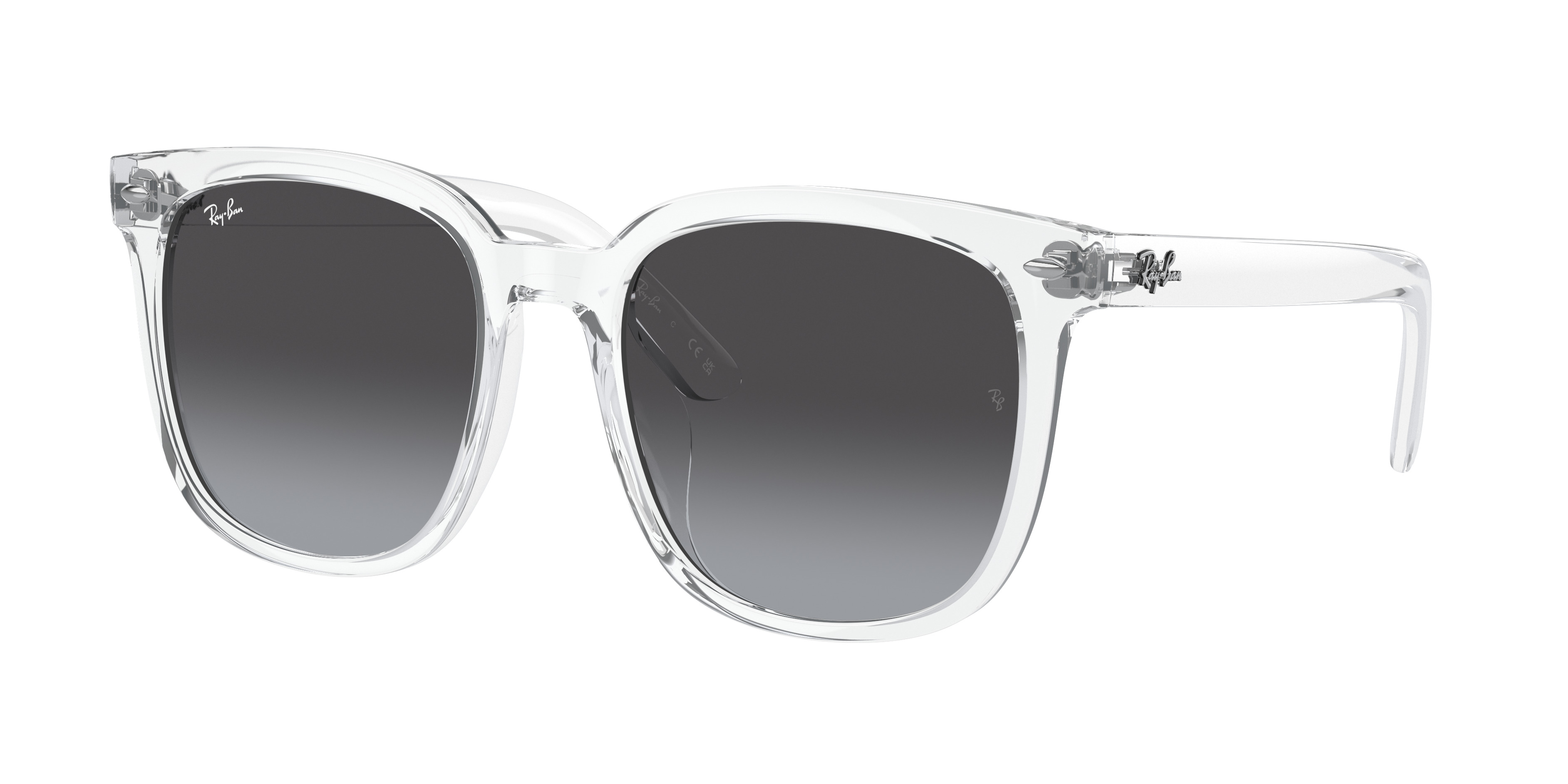 Ray-Ban RB4401D | REVERSIBLE
