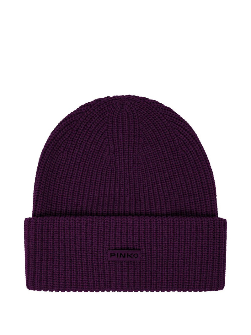 ribbed knit beanie 1