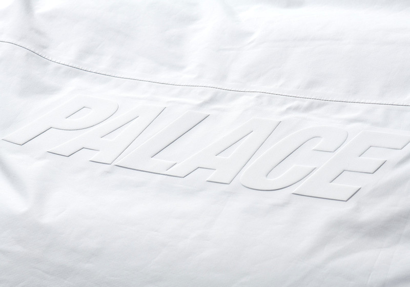 GORE-TEX DOWN PARKA ICE GREY 8