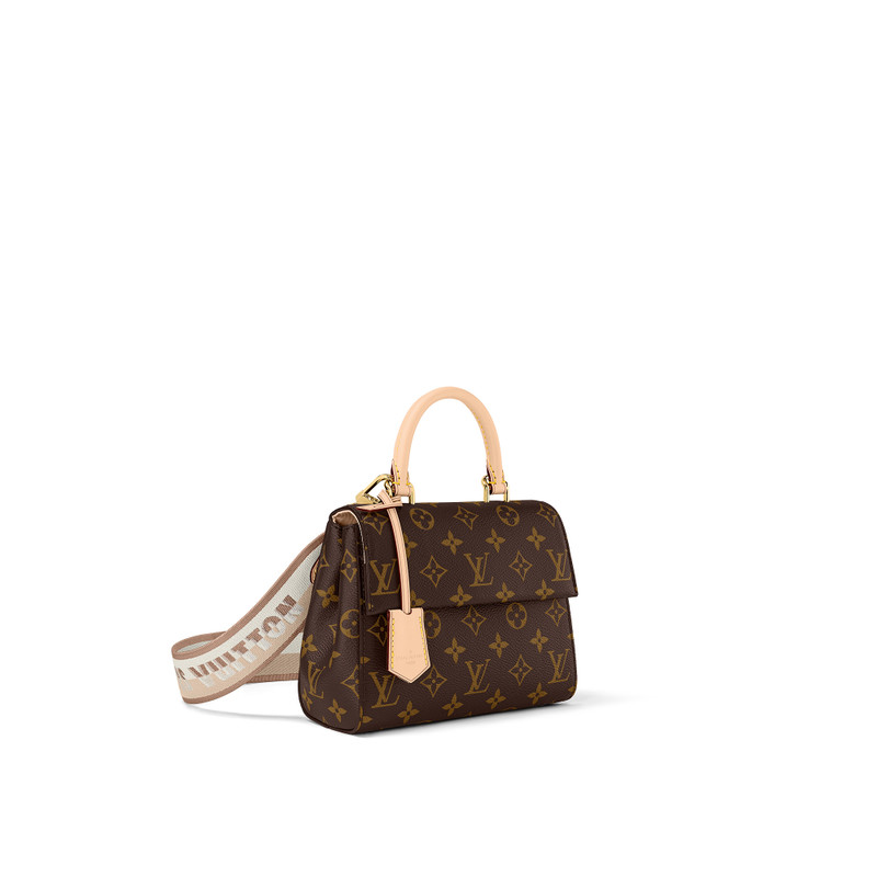 Louis Vuitton Cluny Mini outlook
