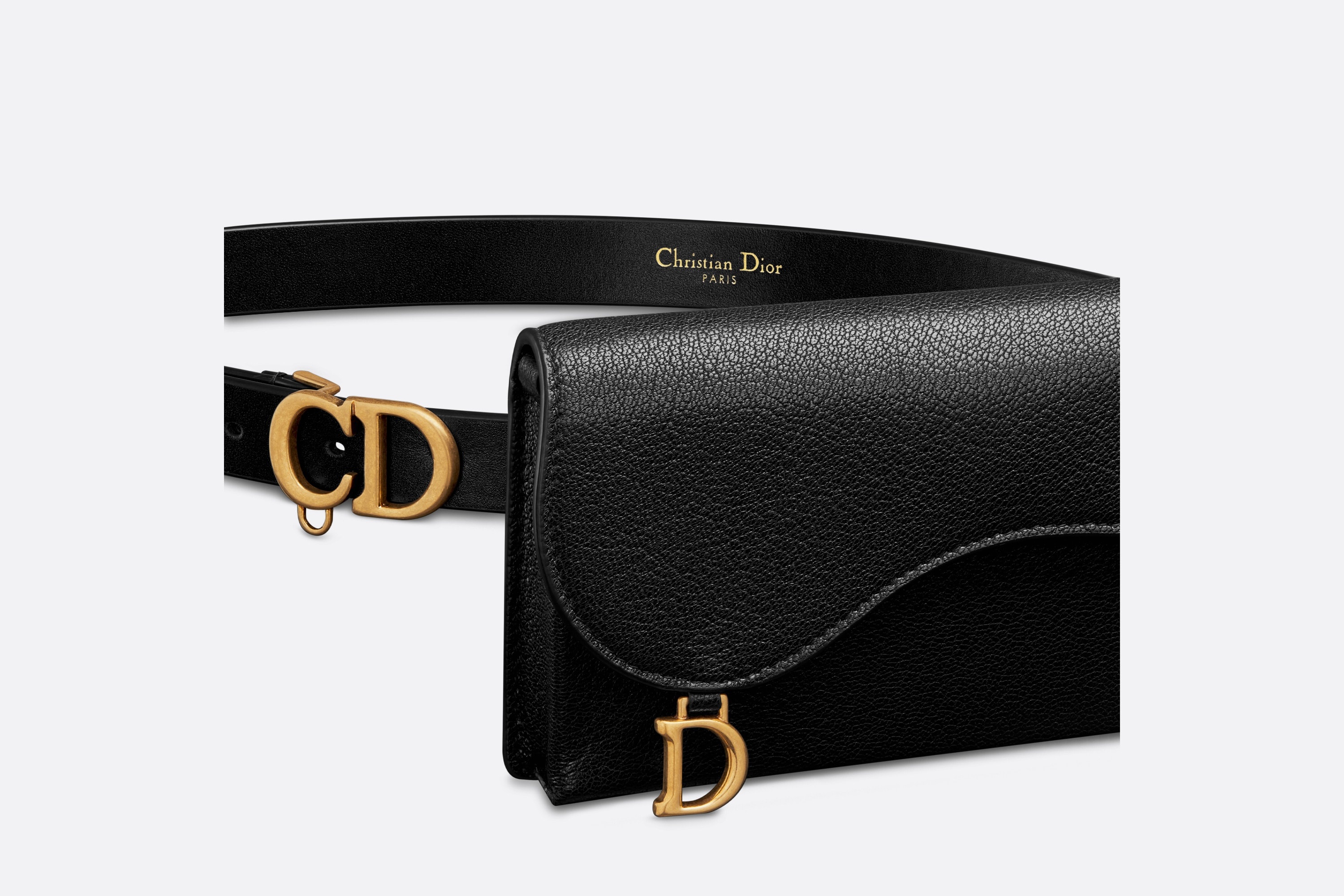 Dior Saddle Removable Pouch Belt | REVERSIBLE