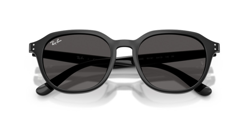 Ray-Ban RB4459D outlook