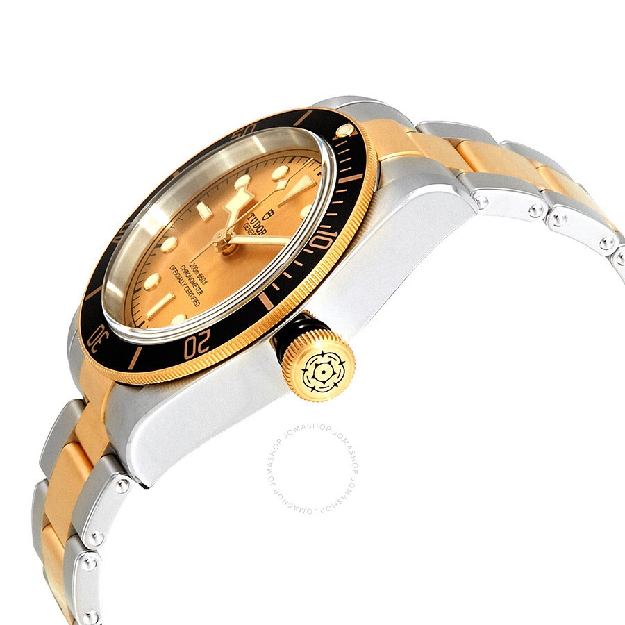 Tudor Black Bay Automatic 41 mm Champagne Dial Men's Watch M79733N-0004 - 2