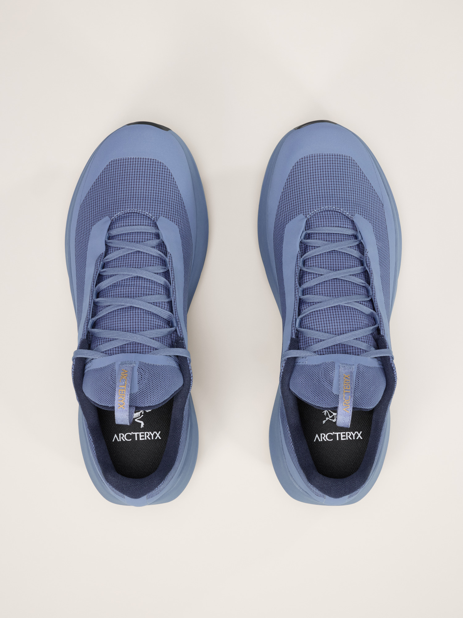 Norvan LD 4 GTX Shoe - 3