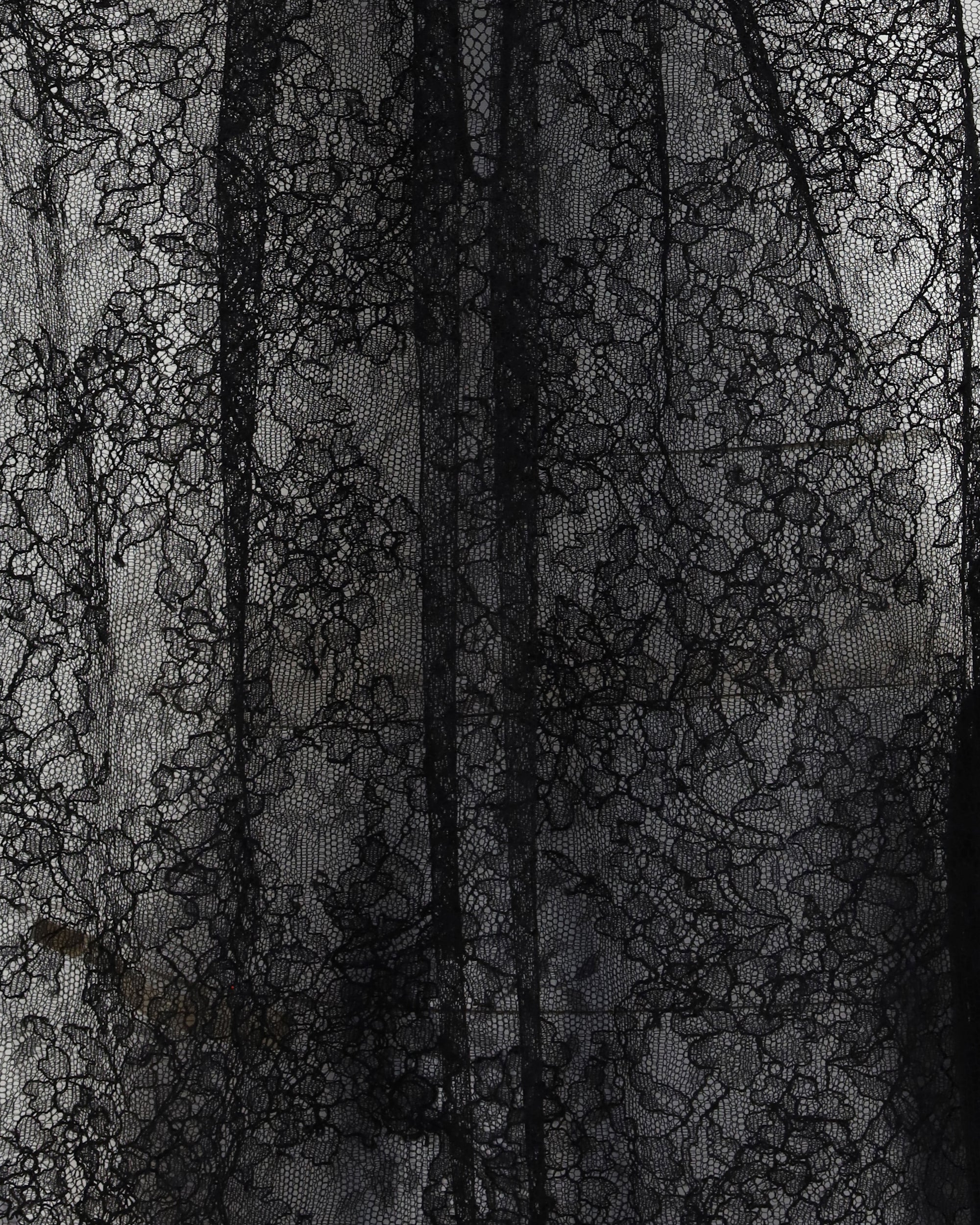 Sleeveless black Lace Top - 3