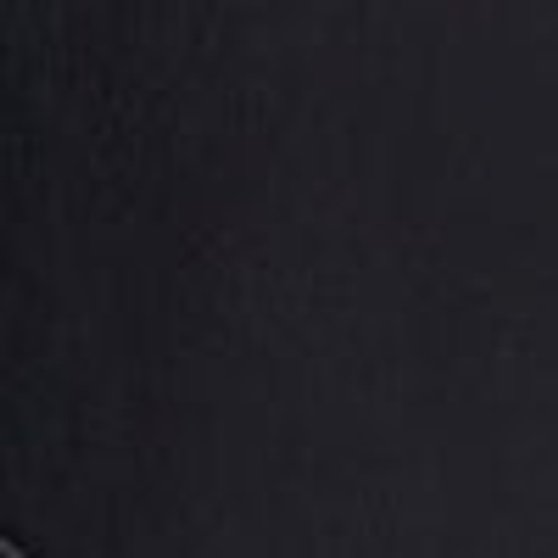 Sunglasses Case in Leather 4