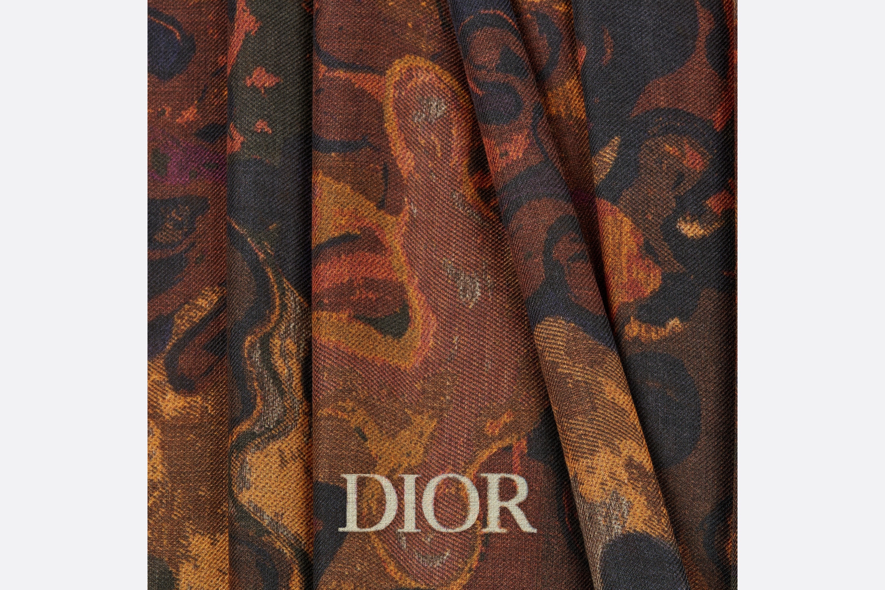 DIOR AND PETER DOIG Stole - 3