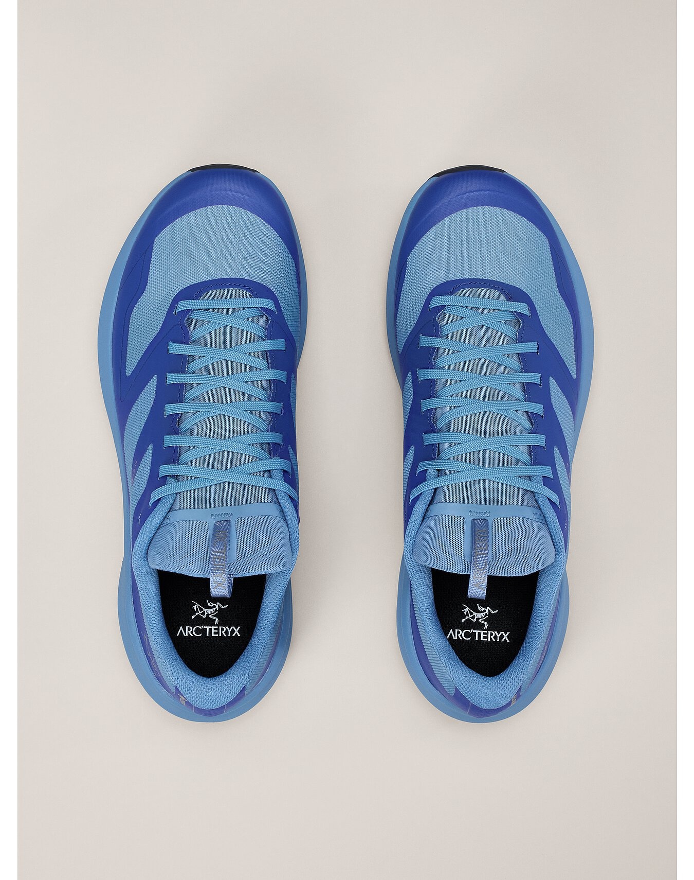 Norvan LD 3 GTX Shoe - 3