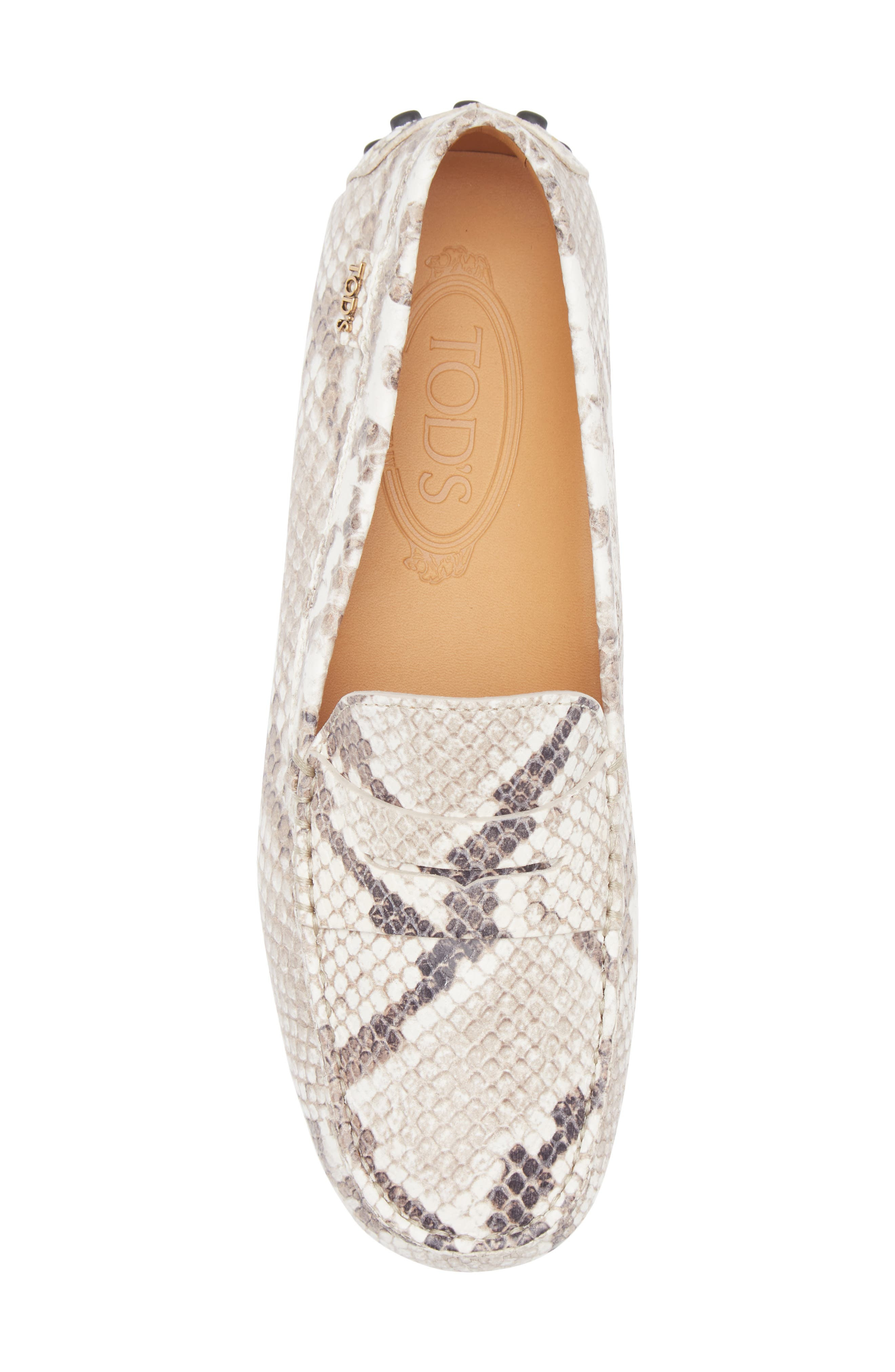 Tod's Gommino Snakeskin Embossed Driving Loafer in Roccia at Nordstrom - 5