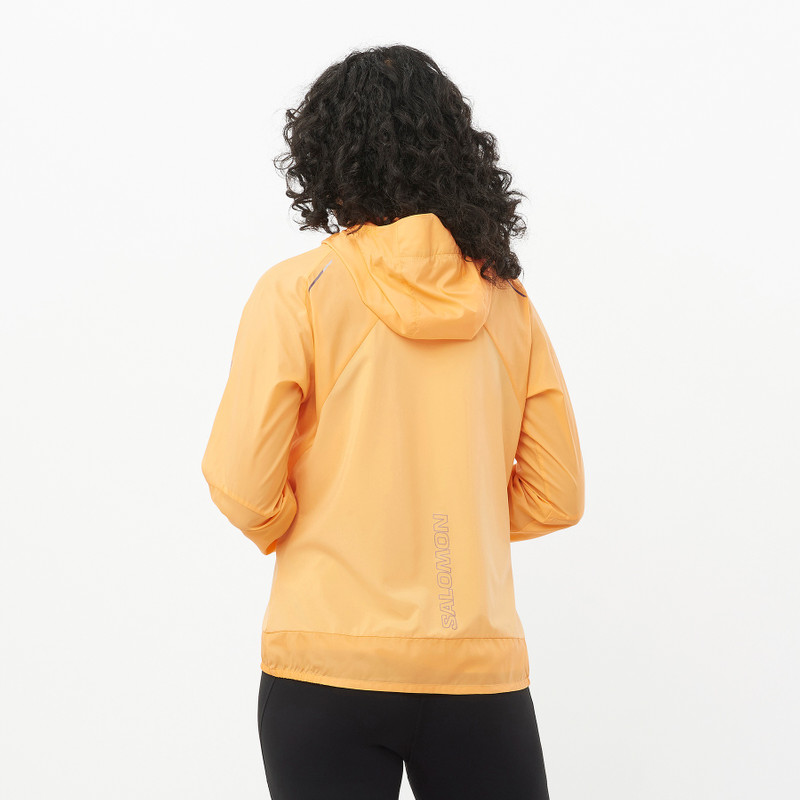 SALOMON BONATTI CROSS WIND outlook