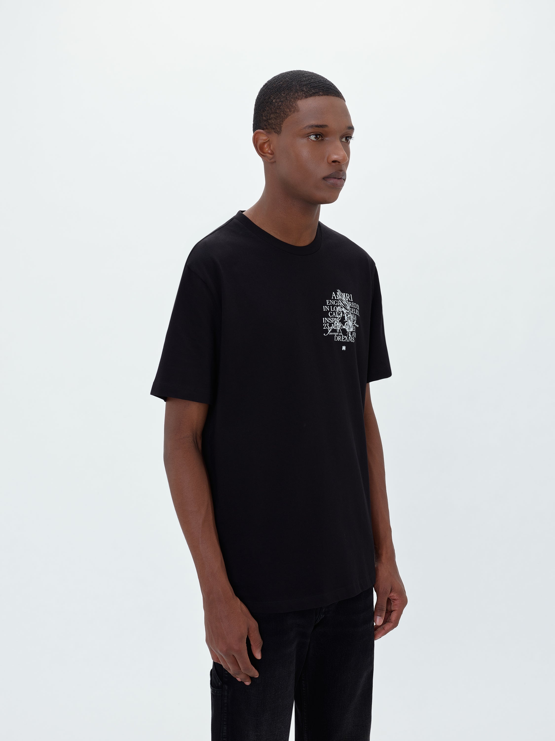 AMIRI PRECIOUS MEMORIES TEE | REVERSIBLE