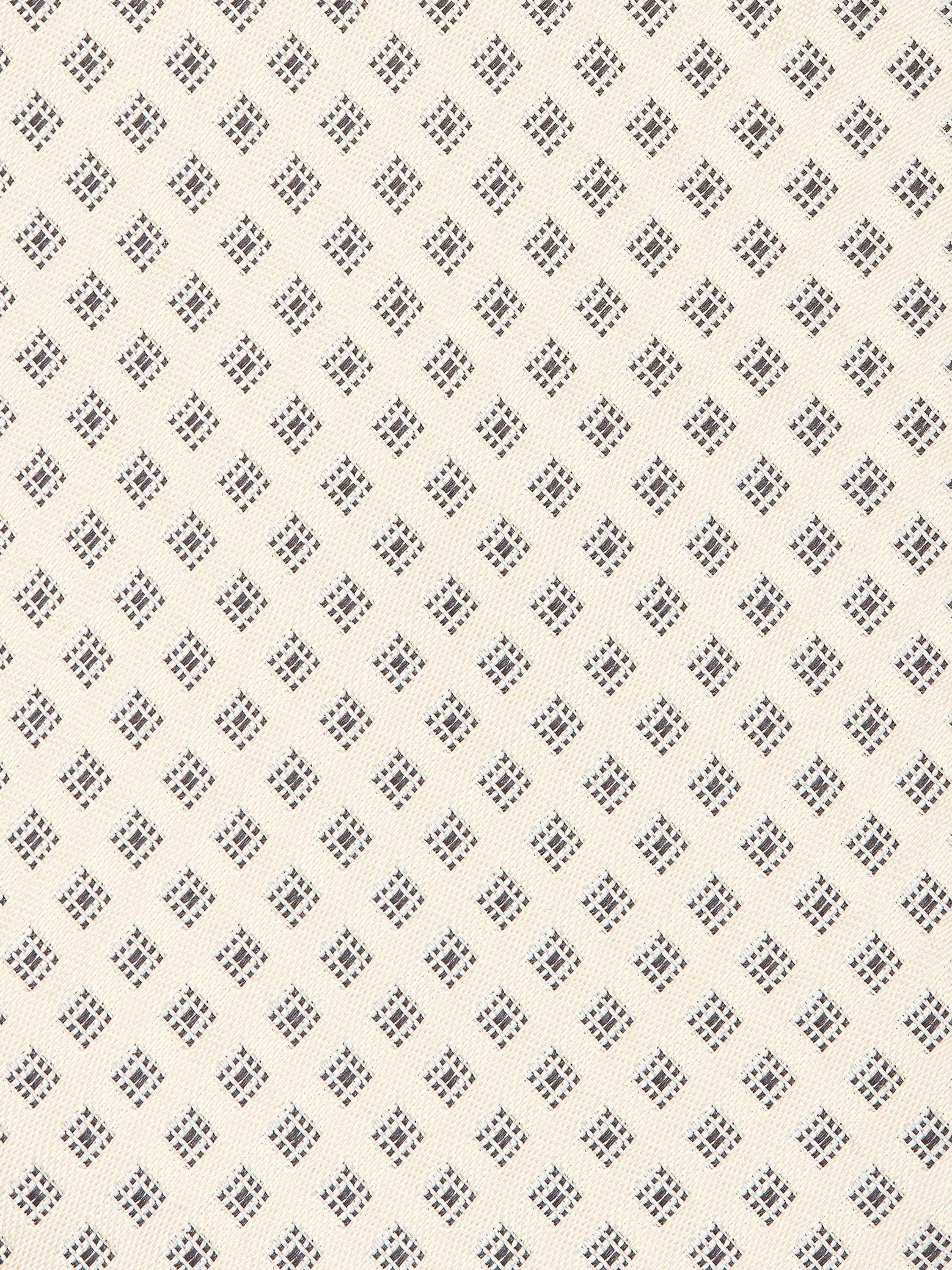 BEIGE SILK TIE - 2