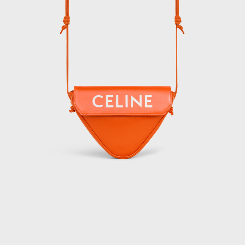 triangle bag in Smooth calfskin with Celine Print 4