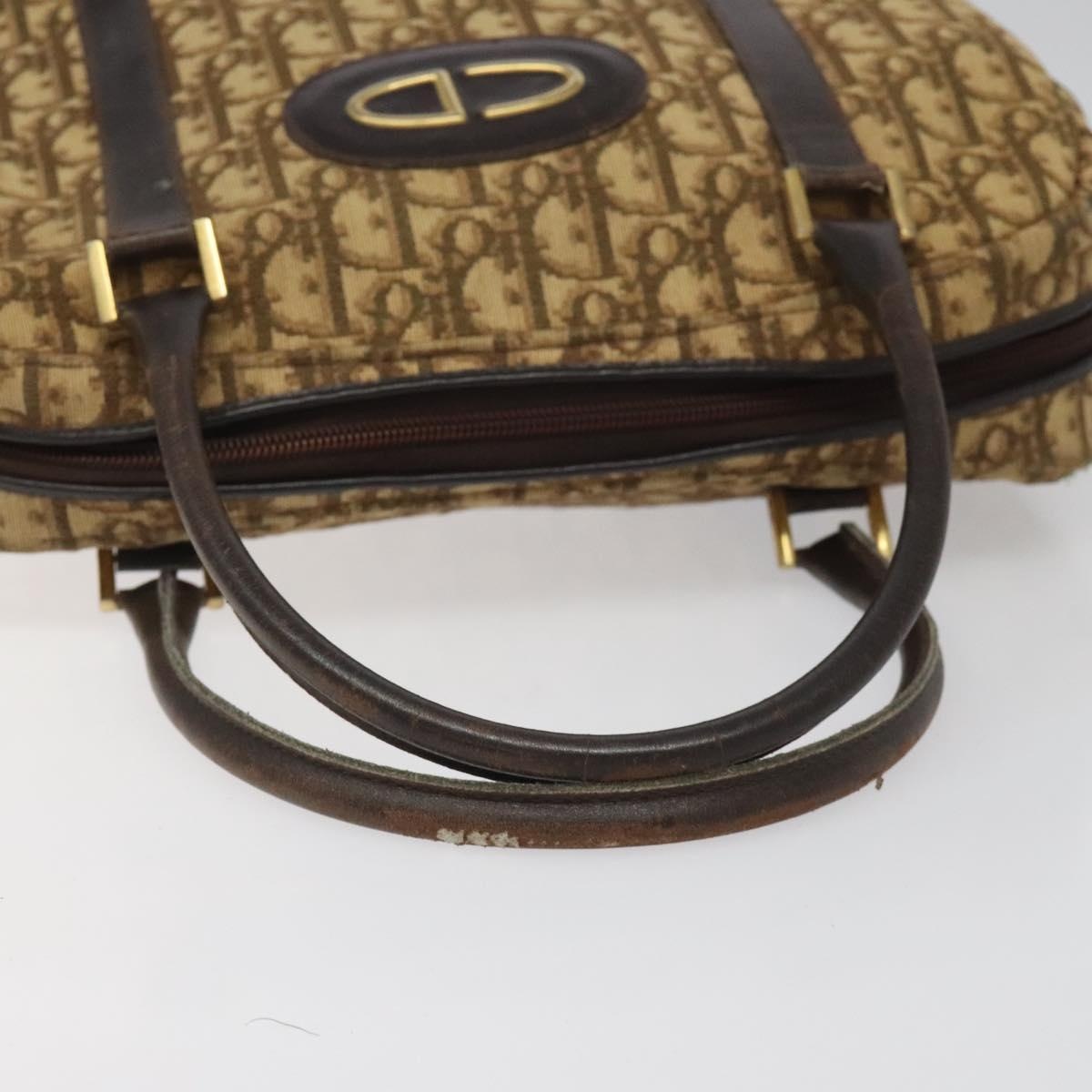 DIOR Trotter Canvas Hand Bag Brown - 7