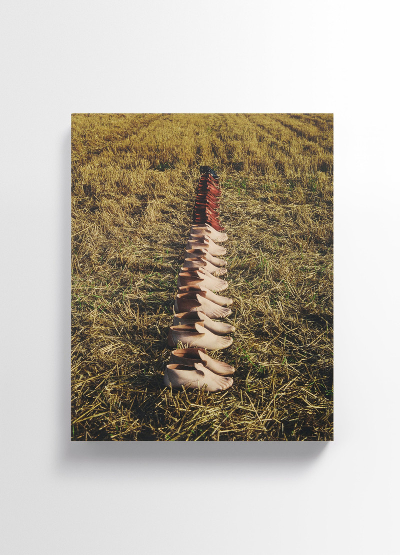 CARLOS PEÑAFIEL BOOK 8