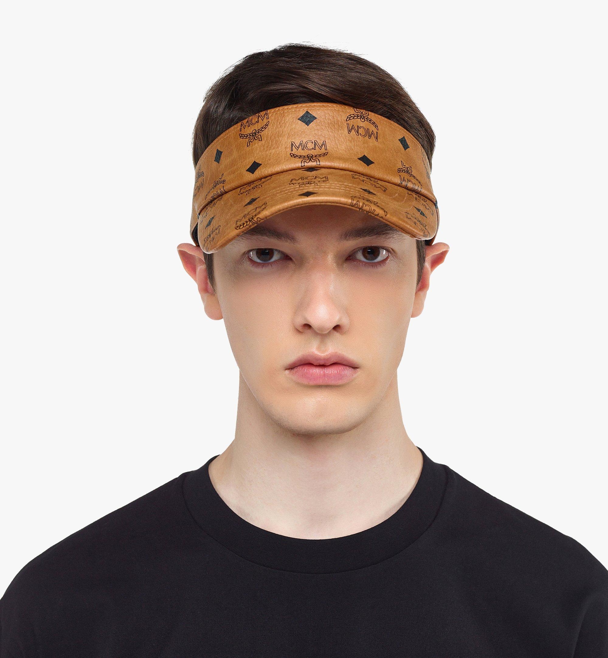 Visor in Visetos - 5