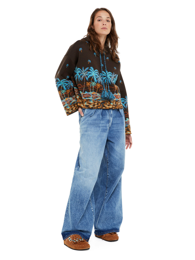 Alanui The Tale Of Hawaiian Hoodie outlook