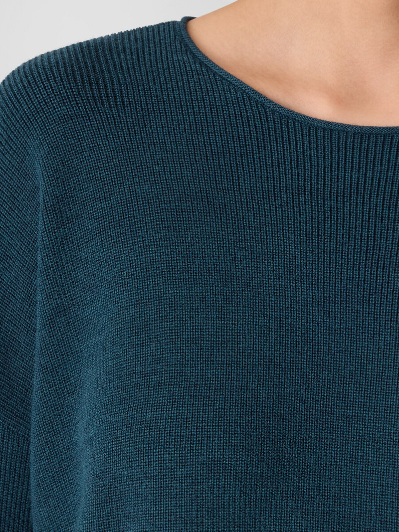 Merino Crew Neck Top in Regenerative Wool 5