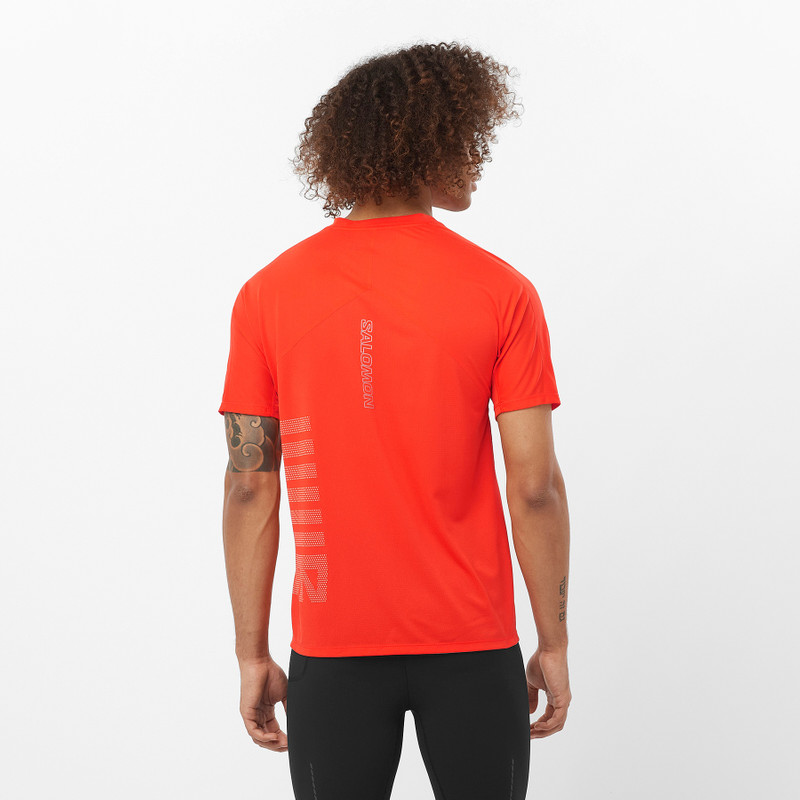 SALOMON SENSE AERO GRAPHIC outlook