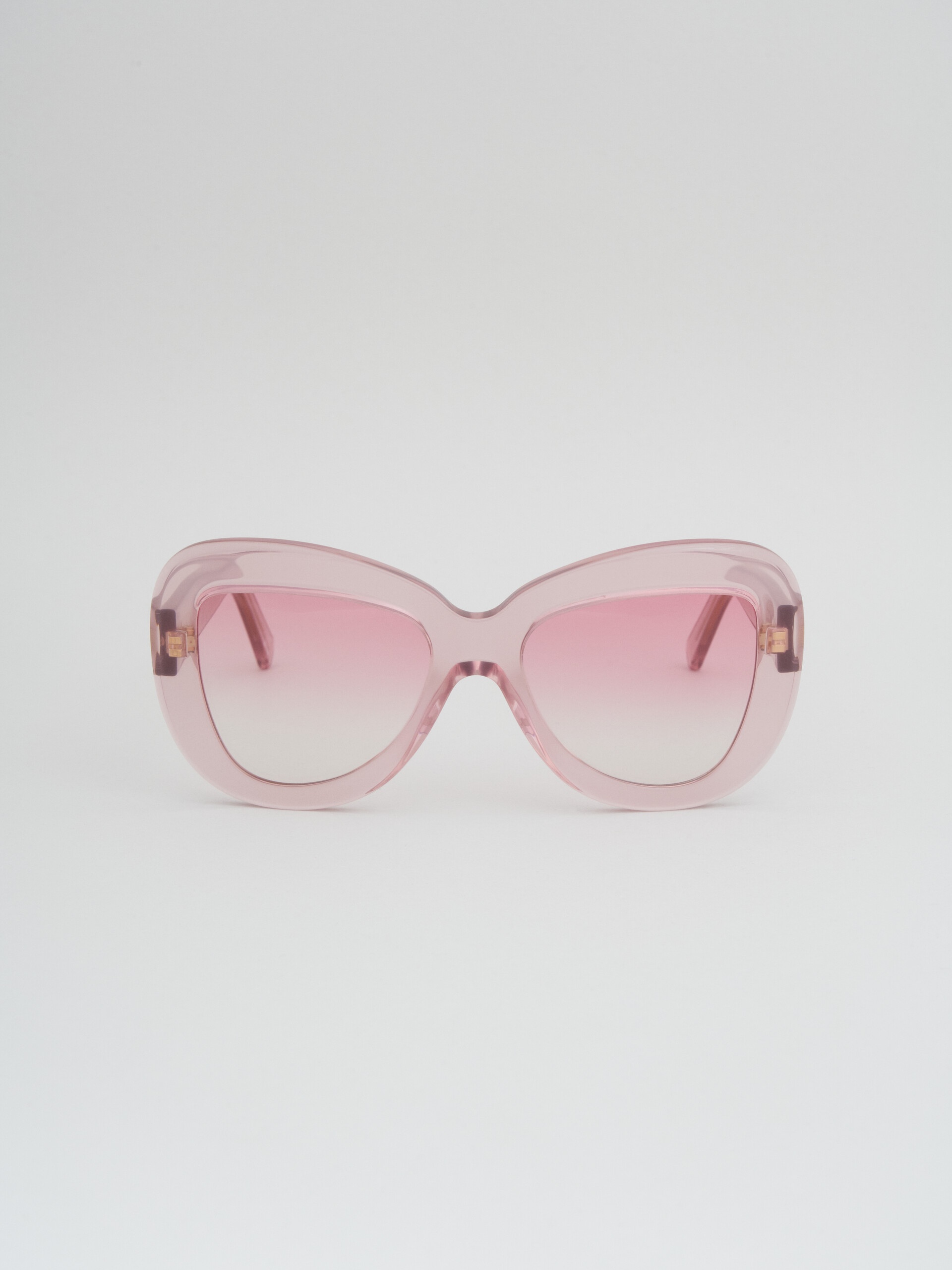 PINK ACETATE ELEPHANT ISLAND SUNGLASSES - 1