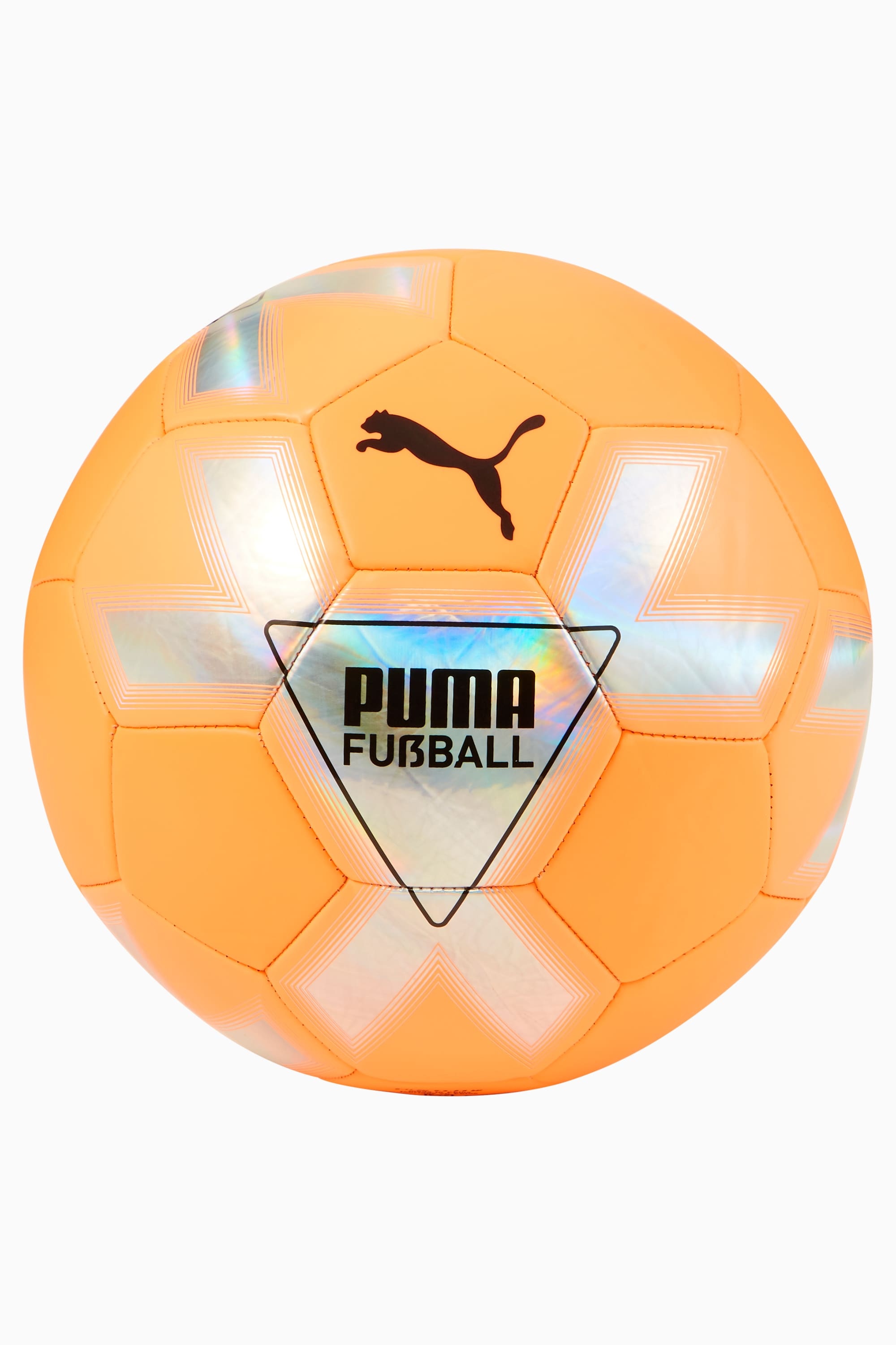 Cage Training Ball - 1