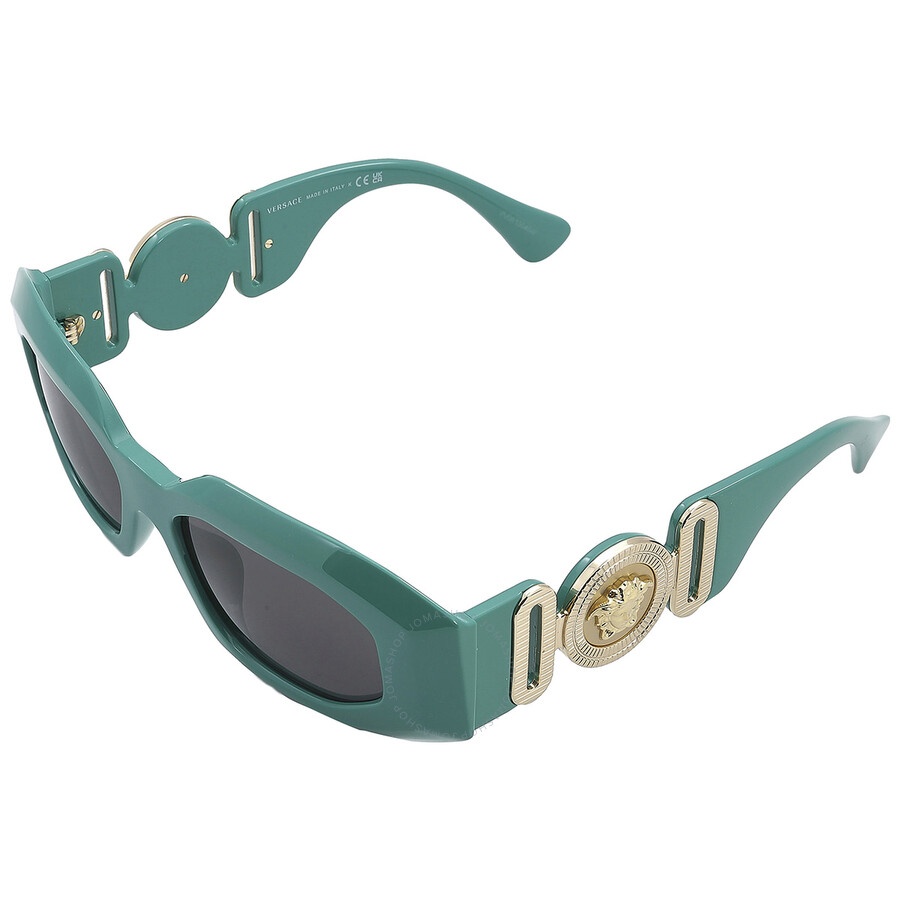 Versace Dark Gray Irregular Men's Sunglasses VE4425U 536487 53 - 5