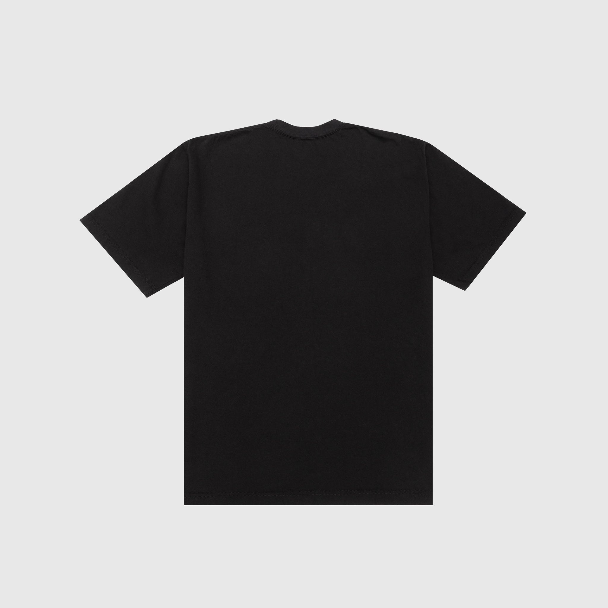 NH TEE SS-16 T-SHIRT - 3