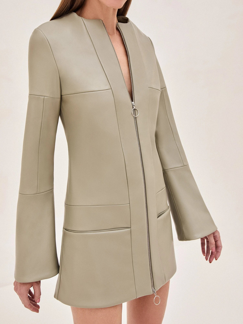 ALEXIS Rossie Dress outlook