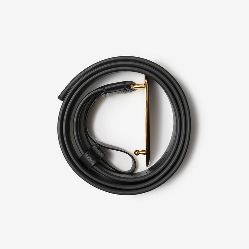 Leather Shield Belt 3