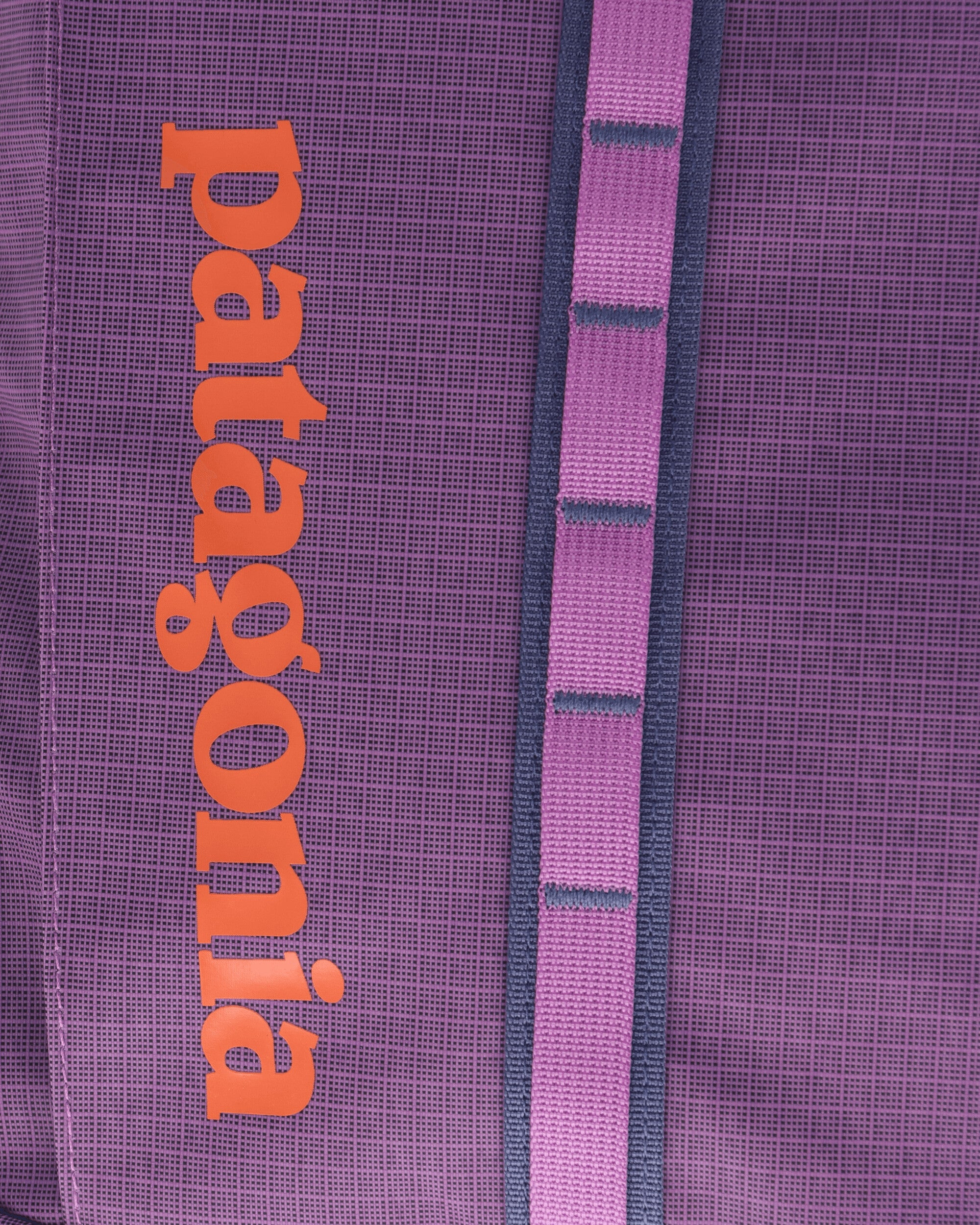 Black Hole Pack 25L Brisk Purple - 4