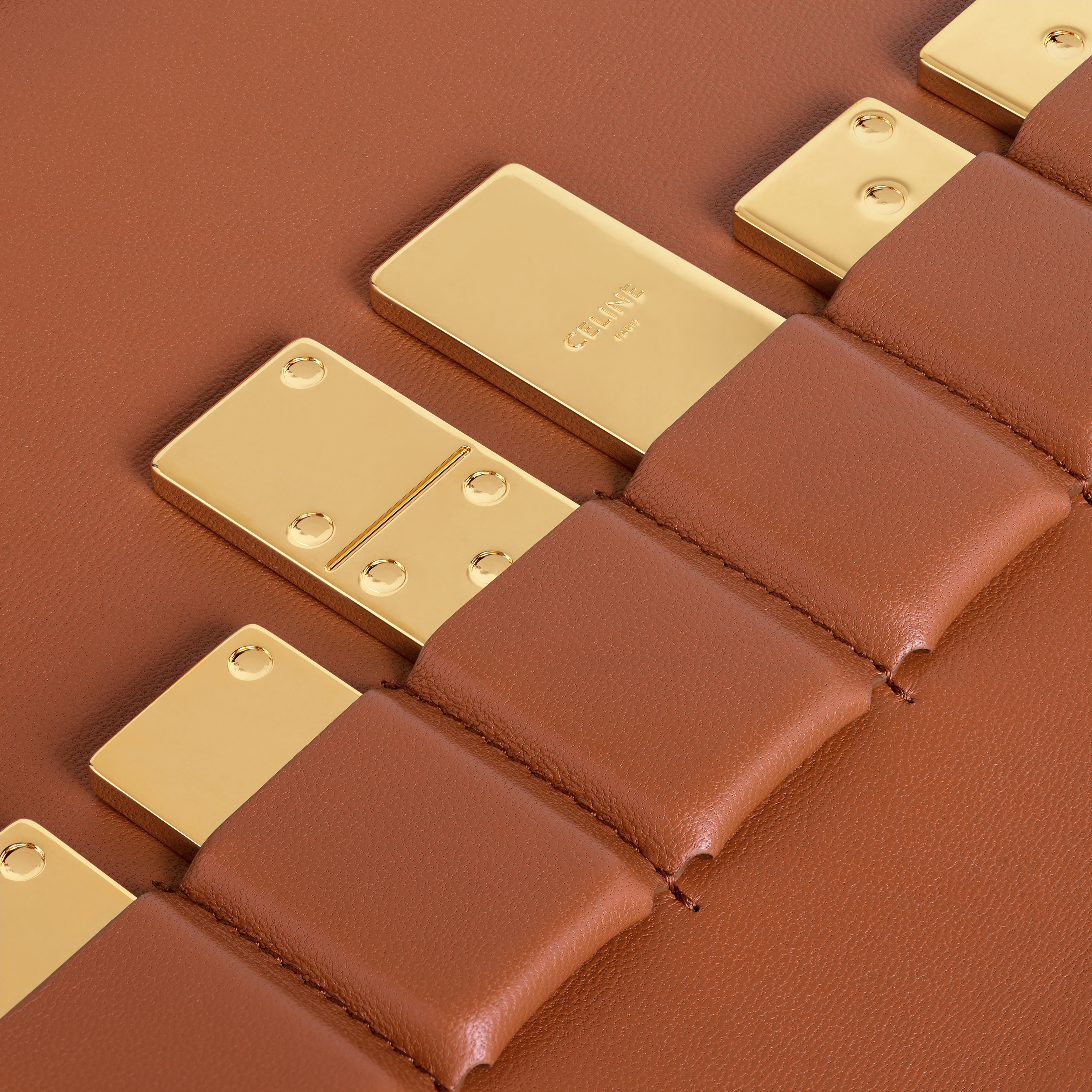 Domino Case in Triomphe Canvas and Lambskin - 2