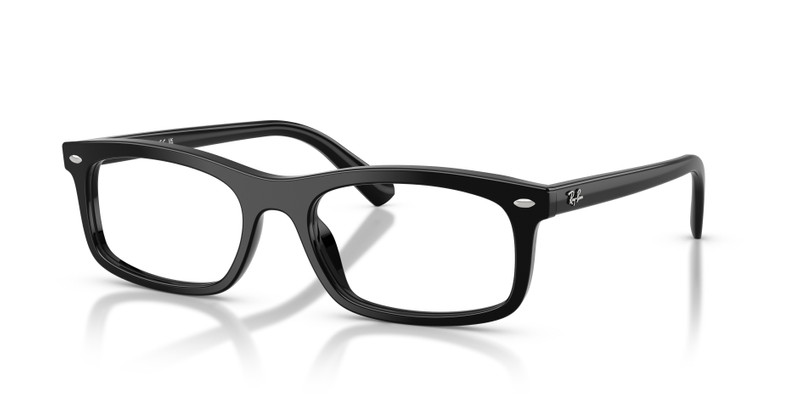 RB5450 OPTICS 1