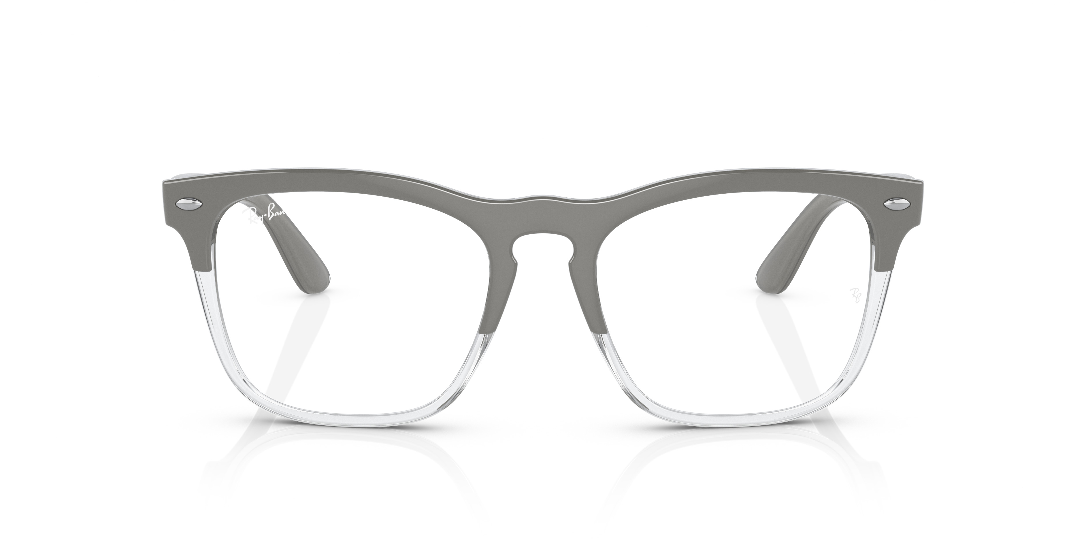 Ray-Ban STEVE OPTICS | REVERSIBLE