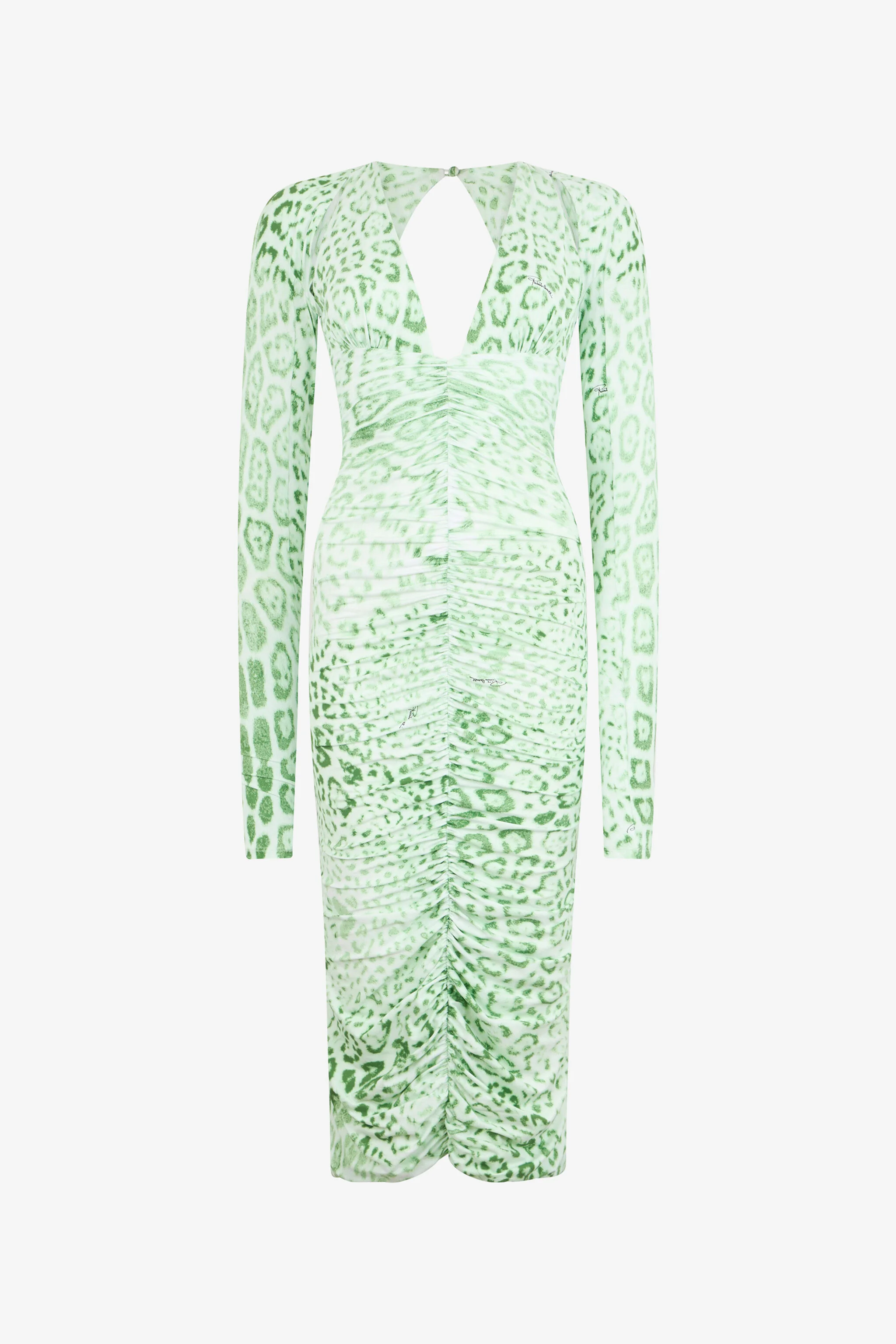 Jaguar Mint Print Midi Dress - 1
