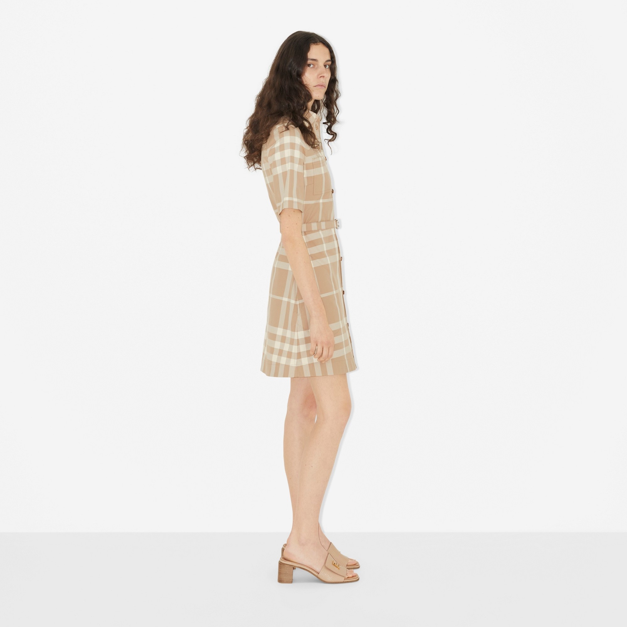 Check Cotton Gabardine Shirt Dress - 3