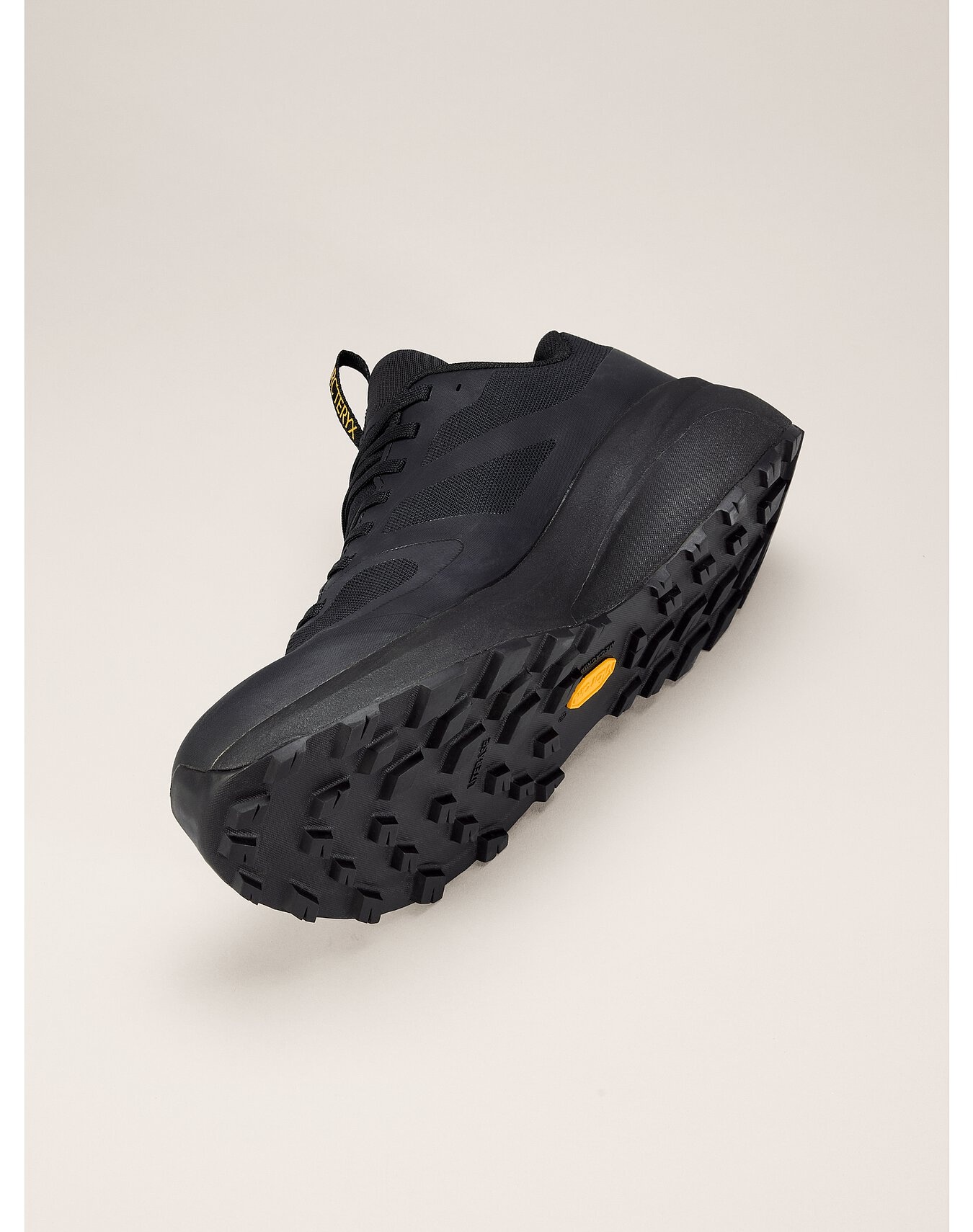 Norvan LD 3 GTX Shoe - 5